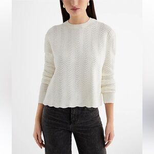EXPRESS Wavy Stitch Crew Neck Sweater